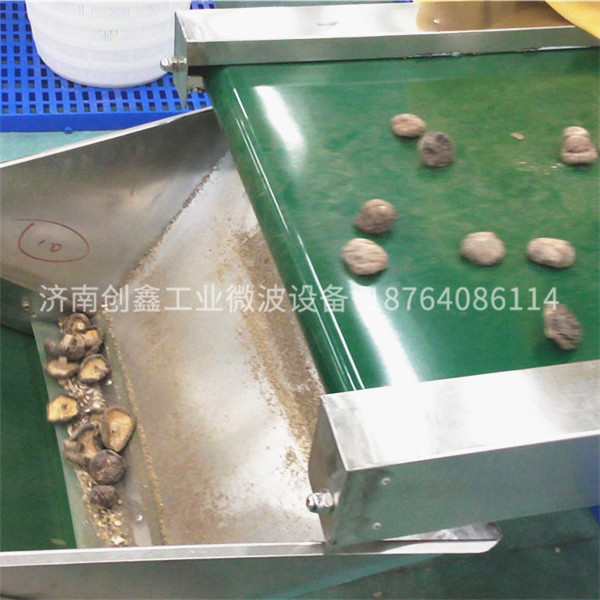 香菇殺菌機(jī) 微波香菇殺菌殺蟲卵設(shè)備 殺菌烘干可以同時(shí)進(jìn)行